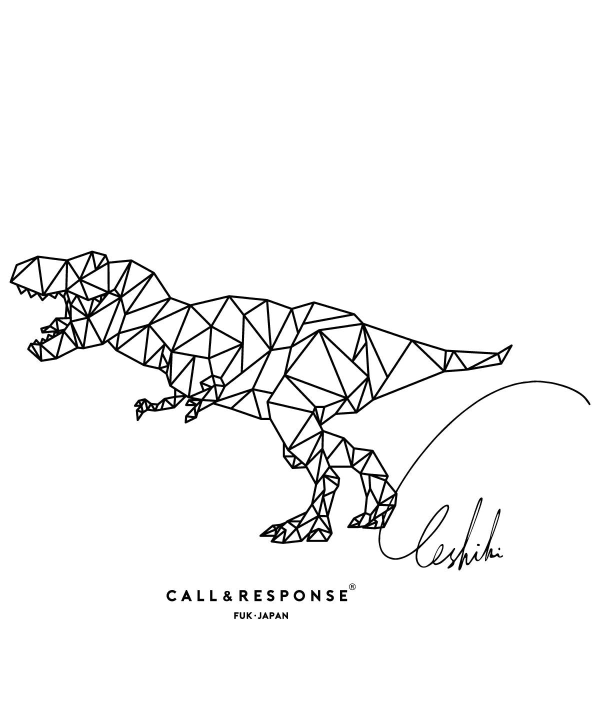 プリント半袖Tシャツ(ティラノサウルス/ジオメトリック)