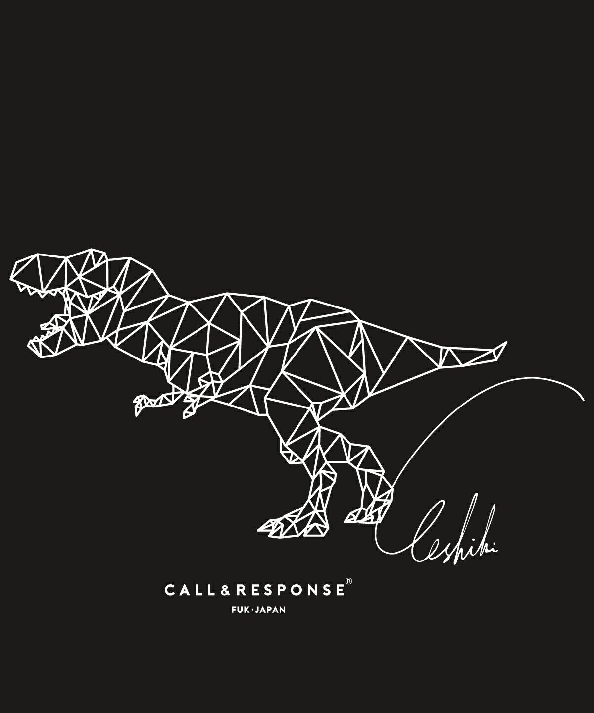 プリント半袖Tシャツ(ティラノサウルス/ジオメトリック)