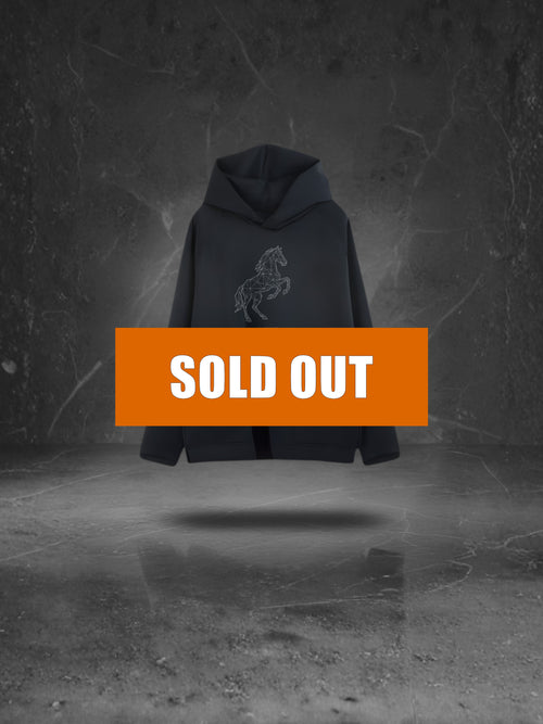 【完売】SPEED WIND/プリントパーカー(午 ETO EDITION)