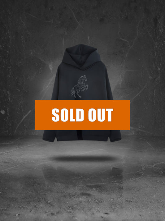 【完売】SPEED WIND/プリントパーカー(午 ETO EDITION)